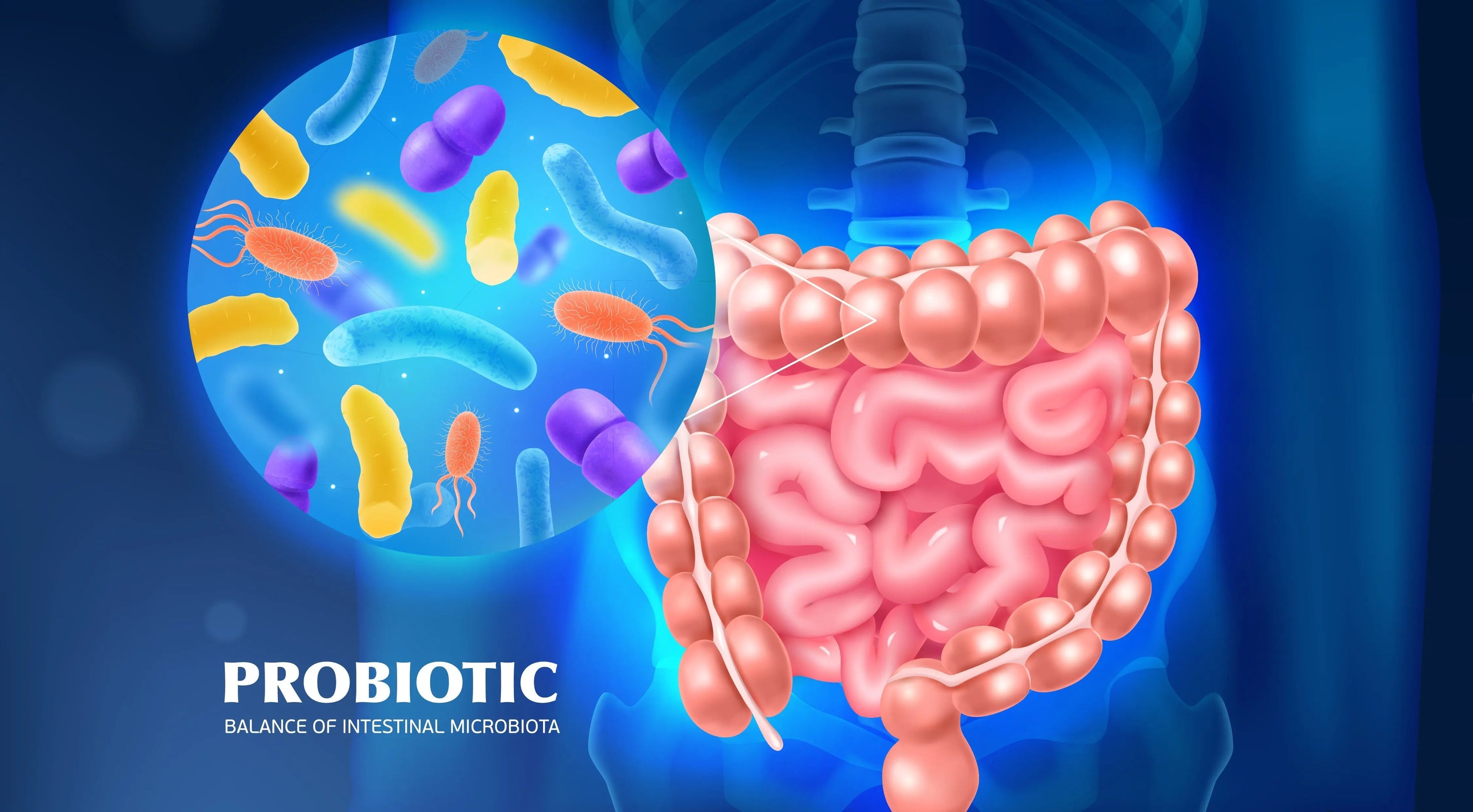 Probiotics & Prebiotics