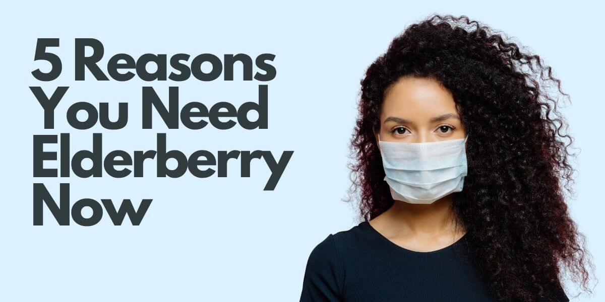 5 Reasons you Should add Elderberry to your Supplement Routine Right Now! - Baby Blues