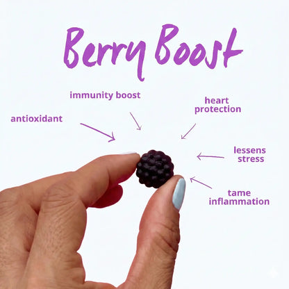 Baby Blues Berry Boost elderberry gummies benefits including immunity boost antioxidant heart protection and inflammation support